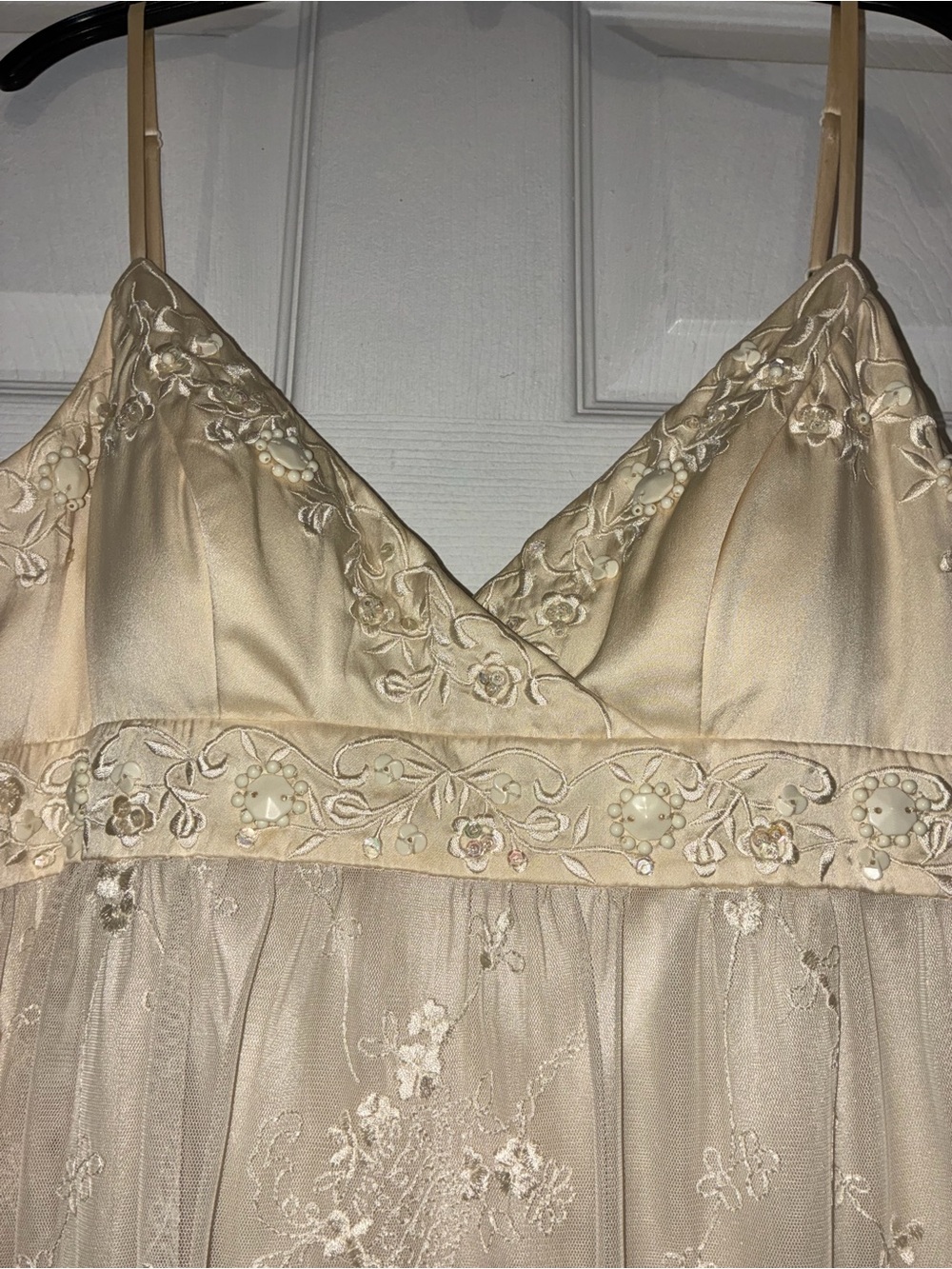 Sue Wong Embellished Champagne Mesh Embroidered Slip Dress - Picture 2 of 13